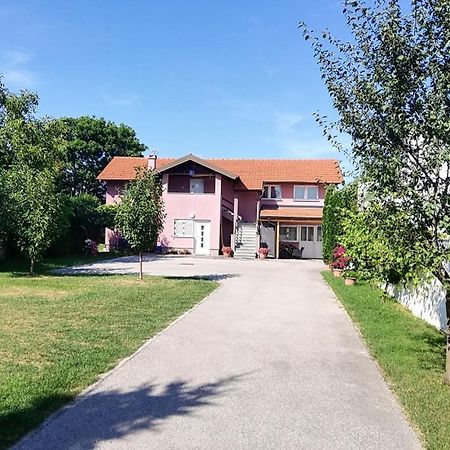 Guest House Lucija Buzin 外观 照片